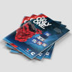 Picture of Premium Blue Catalog